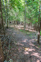 Ridges Family Discovery Trail by Len Villano.