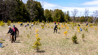 Arbor Day Earth Week Tree Planting Kangaroo Lake by Len Villano