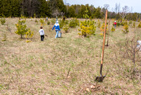 Arbor Day Earth Week Community Tree Planting at Kangaroo Lake by Len Villano