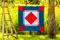 Quilts and Gardens by Len Villano