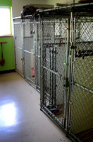 DC Humane Society Space Constraints by Katie Sikora (10/22)
